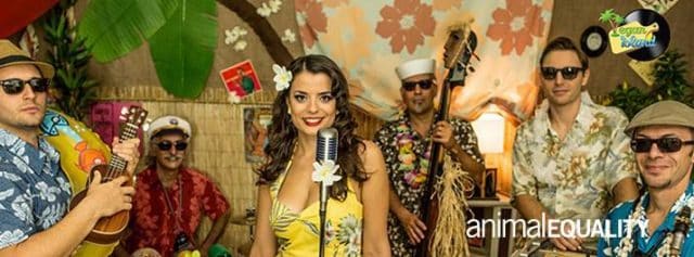 Swing Boogie Woogie Music&Dance